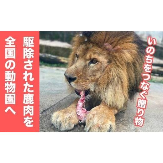 ふるさと納税 イベントやチケット等 広島県 竹原市 命をつなぐ鹿肉で動物支援 〜動物園への推し活返礼品〜