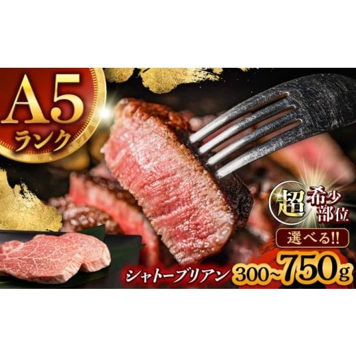 ふるさと納税 牛肉 ヒレ 長崎県 諫早市 唯一無二の贅沢 長崎和牛 A5 シャトーブリアン 300g(150g×2) / 希少部位 ヒレ ひれ ヒレステーキ ステーキ すてーき…