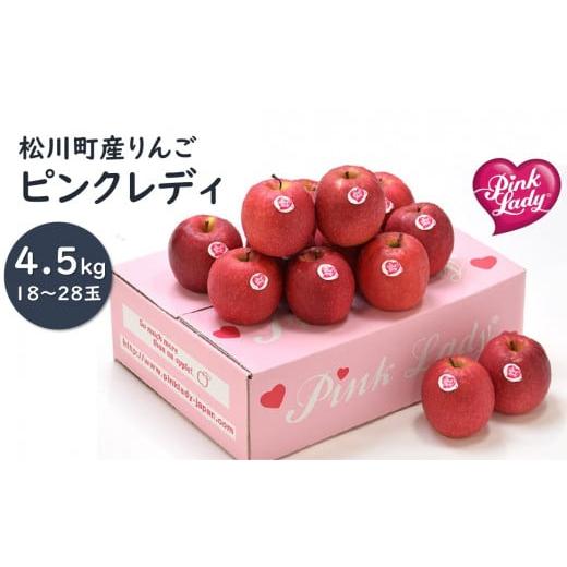 ふるさと納税 りんご 長野県 松川町 PL02-25A ピンクレディー ? 希少なりんご 約4.5kg/2026年1月中旬から発送|ピンクレディ 長野県 南信州 松川町 りんご 希…