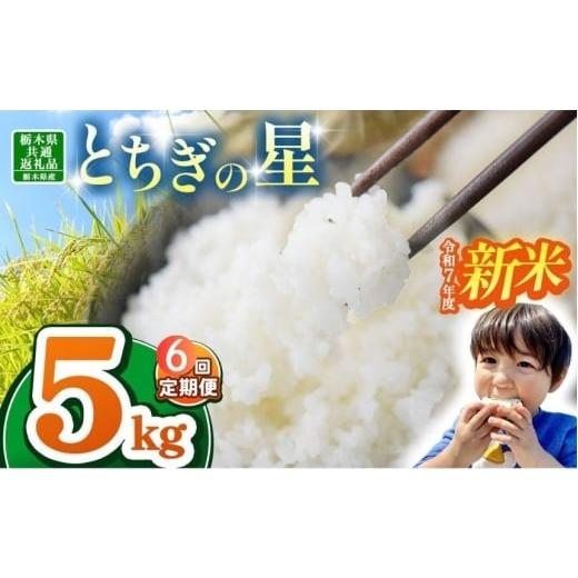 ふるさと納税 米 コシヒカリ 栃木県 那珂川町 栃木県共通返礼品 令和7年度新米 栃木県産とちぎの星 30kg |定期便 選べる ふるさと 納税 とちぎの星 お米 精米…
