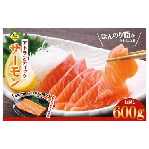 ふるさと納税 鮭・サーモン 大阪府 泉佐野市 アトランティックサーモン お試し 600g 生食可 小分け 200g×3P 柵切り 刺身 魚介 海鮮
