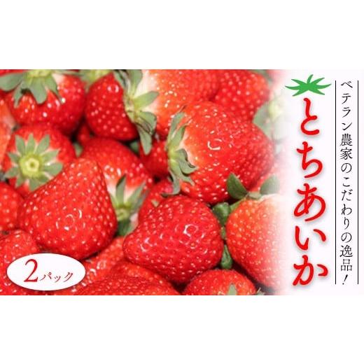 ふるさと納税 いちご 栃木県 芳賀町 ベテラン農家のこだわりの逸品 とちあいか 2パック|いちご イチゴ 苺 フルーツ 果物 産地直送 期間限定 季節限定 栃木県 …