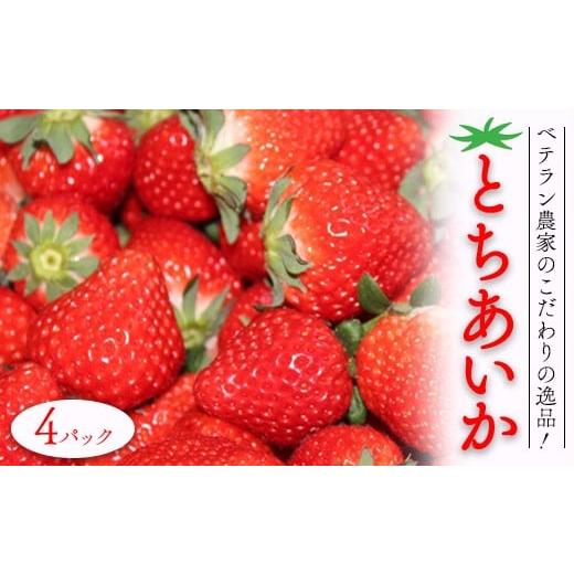 ふるさと納税 いちご 栃木県 芳賀町 ベテラン農家のこだわりの逸品 とちあいか 4パック|いちご イチゴ 苺 フルーツ 果物 産地直送 期間限定 季節限定 栃木県 …