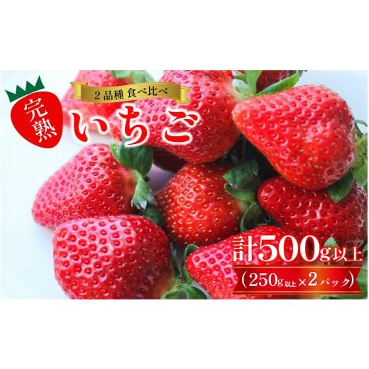 ふるさと納税 いちご 徳島県 阿波市 先行予約 訳あり いちご 食べ比べ 2品種 セット 計500g (250g×2パック) 完熟 苺 おいCベリー スターナイト ほしうらら や…