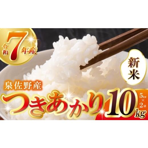 ふるさと納税 米 大阪府 泉佐野市 数量限定 令和7年産 新米 つきあかり 10kg 5kg×2 泉佐野市産 お米 おこめ 白米 精米 家計応援