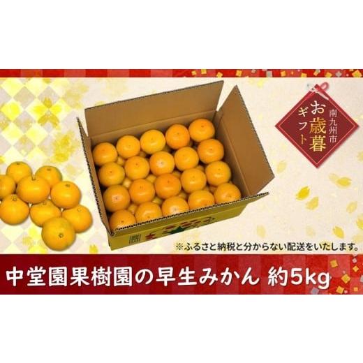 ふるさと納税 果物類 みかん 鹿児島県 南九州市 121-01-1 お歳暮に 中堂園果樹園の早生みかん