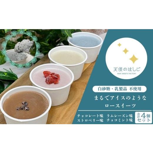 ふるさと納税 菓子 アイス 岩手県 遠野市 まるでアイスのようなロースイーツ 4種セット チョコレート ラムレーズン チョコミント ストロベリー ロースイーツ …