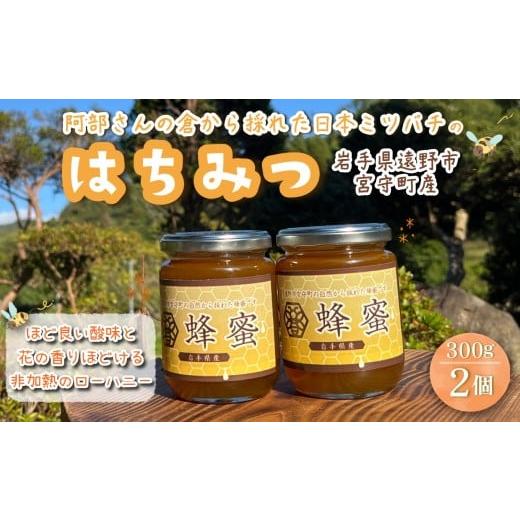 ふるさと納税 加工品等 はちみつ 岩手県 遠野市 阿部さんの倉から採れた 日本ミツバチ 蜂蜜 300g×2個 国産 遠野産 非加熱 純粋 はちみつ 希少 遠野食工房蔵