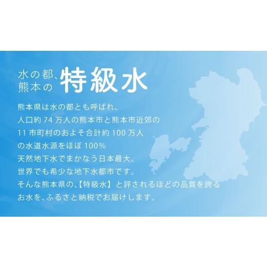 ふるさと納税 水・ミネラルウォーター 熊本県 - 熊本 の おいしい お水 阿蘇山 天然水 330ml × 48本 （ 2ケース ） 水 特級水 飲料 飲み物 ドリンク ミネラル…の画像