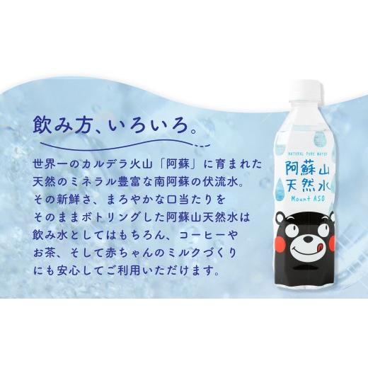 ふるさと納税 水・ミネラルウォーター 熊本県 - 熊本 の おいしい お水 阿蘇山 天然水 330ml × 48本 （ 2ケース ） 水 特級水 飲料 飲み物 ドリンク ミネラル…の画像