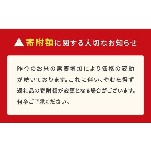 ふるさと納税 米 つや姫 山形県 村山市 米 20kg 5kg×4 雪室米 つや姫 精米 令和7年産 2026年5月中旬 ja-tsyxa20-s5b 2026年5月中旬の画像