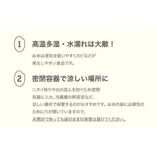 ふるさと納税 米 つや姫 山形県 村山市 米 20kg 5kg×4 雪室米 つや姫 精米 令和7年産 2026年5月中旬 ja-tsyxa20-s5b 2026年5月中旬の画像