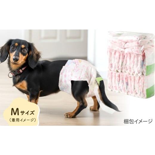 ふるさと納税 雑貨・日用品 福岡県 北九州市 うんぽパンツ Mサイズ 72