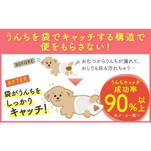 ふるさと納税 雑貨・日用品 福岡県 北九州市 うんぽパンツ Mサイズ 150個入り ペット用品 老犬介護 犬用 猫用 ペット用 ペット用紙オムツ ペット用紙おむつ ペ…の画像