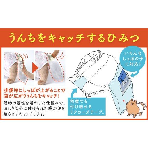 ふるさと納税 雑貨・日用品 福岡県 北九州市 うんぽパンツ Mサイズ 150個入り ペット用品 老犬介護 犬用 猫用 ペット用 ペット用紙オムツ ペット用紙おむつ ペ…の画像