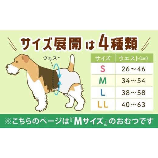 ふるさと納税 雑貨・日用品 福岡県 北九州市 うんぽパンツ Mサイズ 150個入り ペット用品 老犬介護 犬用 猫用 ペット用 ペット用紙オムツ ペット用紙おむつ ペ…の画像