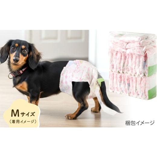 ふるさと納税 雑貨・日用品 福岡県 北九州市 うんぽパンツ Mサイズ 150個入り ペット用品 老犬介護 犬用 猫用 ペット用 ペット用紙オムツ ペット用紙おむつ ペ…の画像