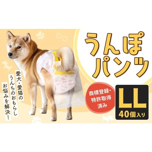 うん ぽ パンツ ふるさと納税 雑貨・日用品 福岡県 北九州市 うんぽ
