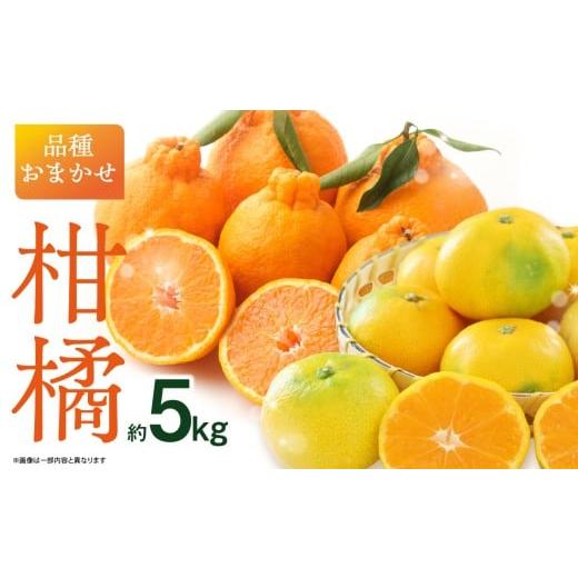 ふるさと納税 果物類 みかん 福岡県 八女市 品種おまかせ 柑橘(5kg) ミカン みかん デコポン 柑橘 おまかせ 5キロ 旬 フルーツ 果物 福岡県 八女市