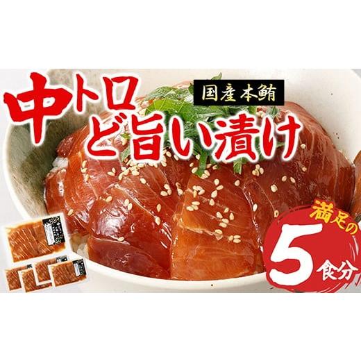 ふるさと納税 マグロ 三重県 尾鷲市 [ 年末限定 ] 中トロ 漬け丼 マグロ専門店 50g×5袋 小分け おすすめ おいしい 刺身 産地直送 国産 三重県 海鮮 ト…