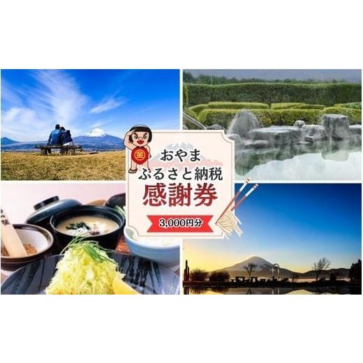 ふるさと納税 地元のお買物券 静岡県 小山町 B60おやま ふるさと納税 感謝券 10,000円分(1,000円券×3枚)