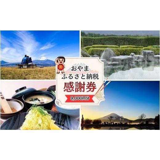 ふるさと納税 地元のお買物券 静岡県 小山町 2G17おやま ふるさと納税 感謝券 30,000円分(1,000円券×9枚)