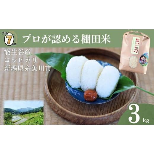 ふるさと納税 米 コシヒカリ 新潟県 糸魚川市 2025年11月発送 令和7年産 新潟県能生谷産コシヒカリ 3kg プロも認める棚田米 農家直送 2025年産 JATs有限会社 …