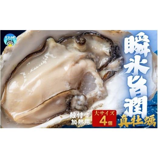 ふるさと納税 牡蠣 和歌山県 すさみ町 国産 急速冷凍牡蠣 加熱用 大サイズ 4個 / 牡蠣 殻付き 海鮮 かき カキ 冷凍