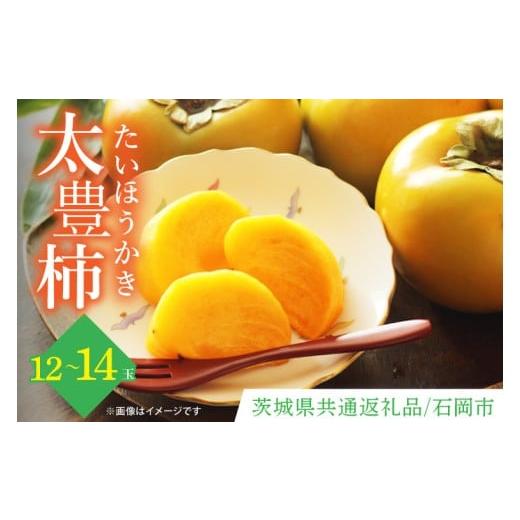 ふるさと納税 果物類 柿 茨城県 水戸市 数量限定 太豊柿 12玉〜14玉 茨城県共通返礼品/石岡市 水戸市 茨城県 カキ 柿 フルーツ 果物 くだもの 種なし ジュー…