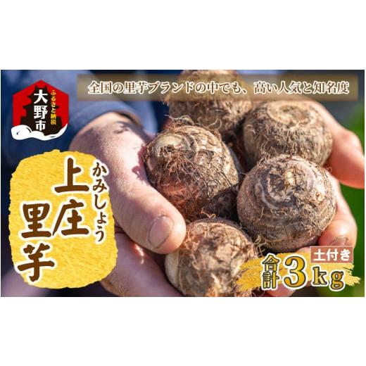 ふるさと納税 人参・大根・他根菜 福井県 大野市 先行予約 日本の美味い里芋 秋の味覚 上庄里芋 3kg 12月発送
