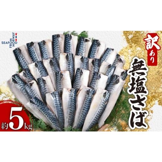 ふるさと納税 旬の鮮魚等 千葉県 銚子市 訳あり 無塩さば 5kg さば 鯖 さばフィーレ 鯖フィーレ さばフィレ 鯖フィレ 規格外 切り身 切身 無添加 添加物不使用…