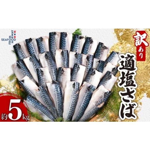 ふるさと納税 旬の鮮魚等 千葉県 銚子市 訳あり 適塩さば 5kg 塩さば 塩鯖 さば 鯖 さばフィーレ 鯖フィーレ さばフィレ 鯖フィレ 規格外 切り身 切身 無添加 …