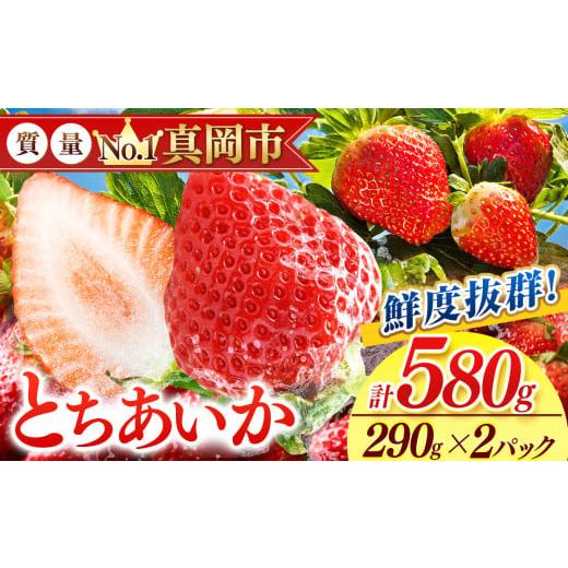 ふるさと納税 いちご 栃木県 真岡市 鮮度抜群 とちあいか 1箱 (290g×2) 580g | 6000円 選べる 容量 1箱 日本一 産地 大粒 冬 味覚 いちご 苺 イチゴ ストロベ…