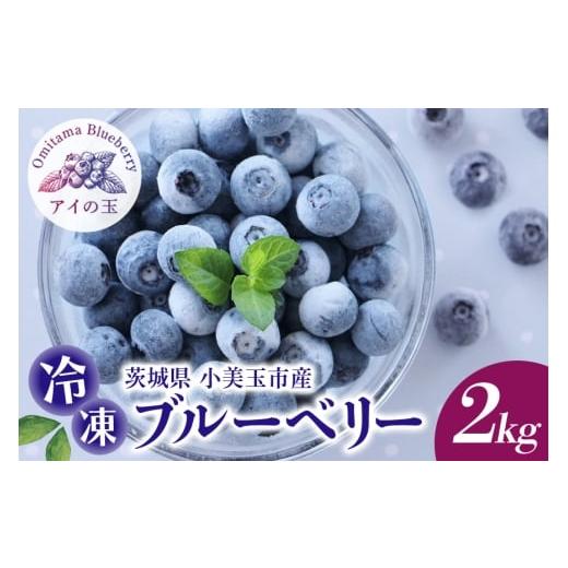 ふるさと納税 果物類 茨城県 小美玉市 [数量限定・期間限定] アイの玉 冷凍ブルーベリー 2kg ブルーベリー 冷凍 フルーツ 果物 冷凍フルーツ 冷凍果物 くだ…