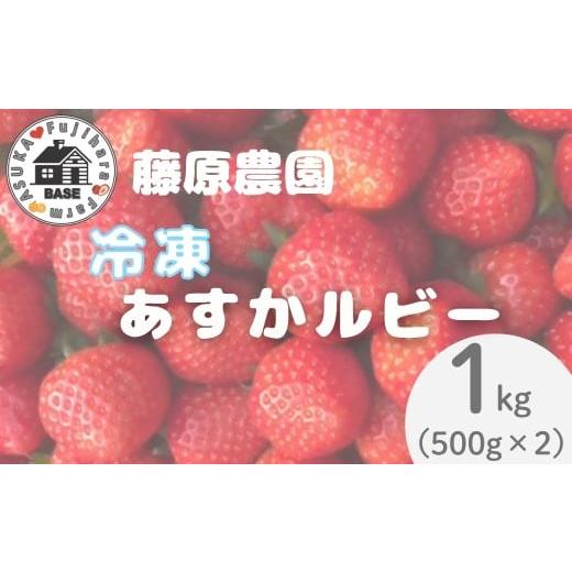 ふるさと納税 いちご 奈良県 明日香村 冷凍あすかルビー 1kg(500g×2) 藤原農園