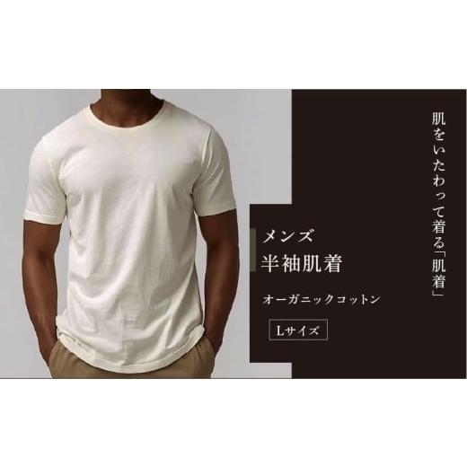 ふるさと納税 服 男 滋賀県 彦根市 メンズ半袖肌着 L Lサイズ