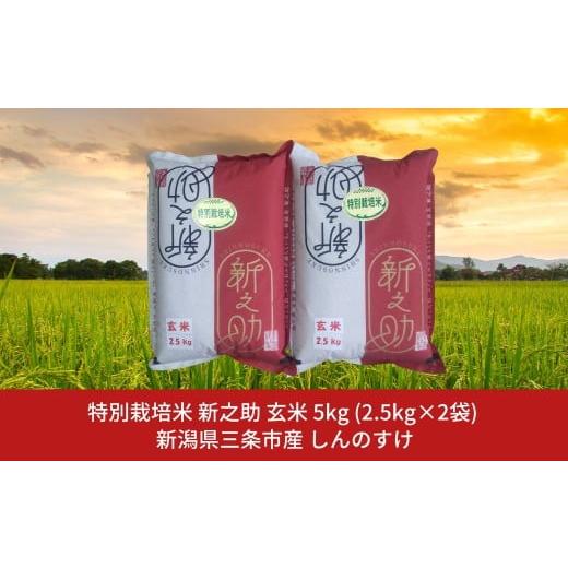 ふるさと納税 米 新潟県 三条市 特別栽培米 新之助 5kg 新潟県三条市産 玄米 しんのすけ 令和7年産 佐藤農産有機センター