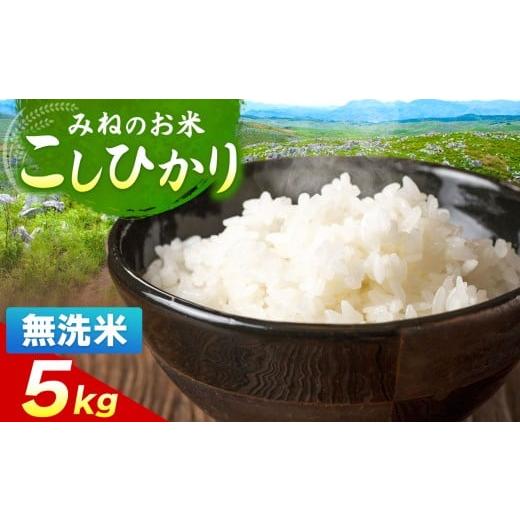 ふるさと納税 玄米 山口県 美祢市 令和7年度産 こしひかり 無洗米 5kg| 無洗米 米 雑穀 お米 コメ 単一米 こしひかり コシヒカリ 山口 美祢 秋吉台 5kg