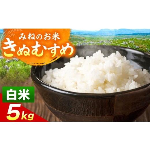 ふるさと納税 玄米 山口県 美祢市 令和7年度産 きぬむすめ 白米 5kg | 白米 米 雑穀 お米 コメ 単一米 きぬむすめ 絹娘 山口 美祢 秋吉台 5kg