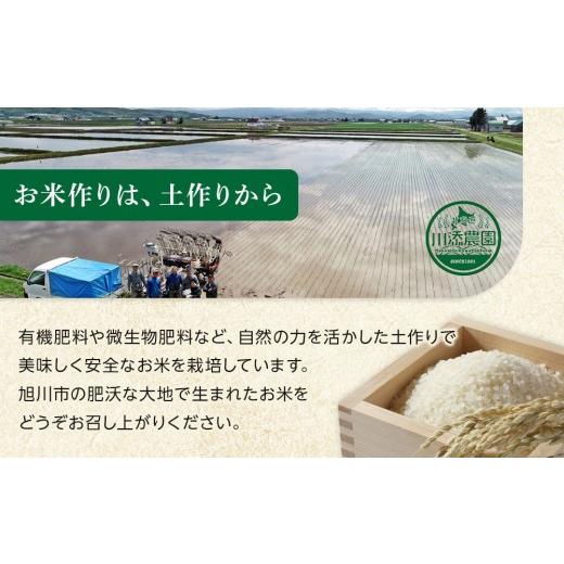 ふるさと納税 無洗米 北海道 旭川市 ZIP で紹介 6月発送 令和7年産　ゆめぴりか・ななつぼし 無洗米　真空パック 詰め合わせセット 各5kg×2個 合 計20kg_0216…