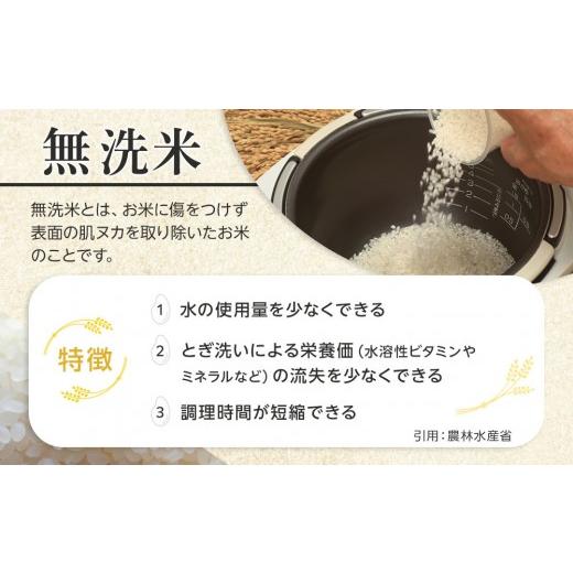 ふるさと納税 無洗米 北海道 旭川市 ZIP で紹介 6月発送 令和7年産　ゆめぴりか・ななつぼし 無洗米　真空パック 詰め合わせセット 各5kg×2個 合 計20kg_0216…