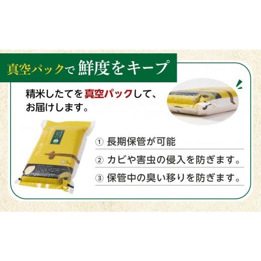 ふるさと納税 無洗米 北海道 旭川市 ZIP で紹介 6月発送 令和7年産　ゆめぴりか・ななつぼし 無洗米　真空パック 詰め合わせセット 各5kg×2個 合 計20kg_0216…