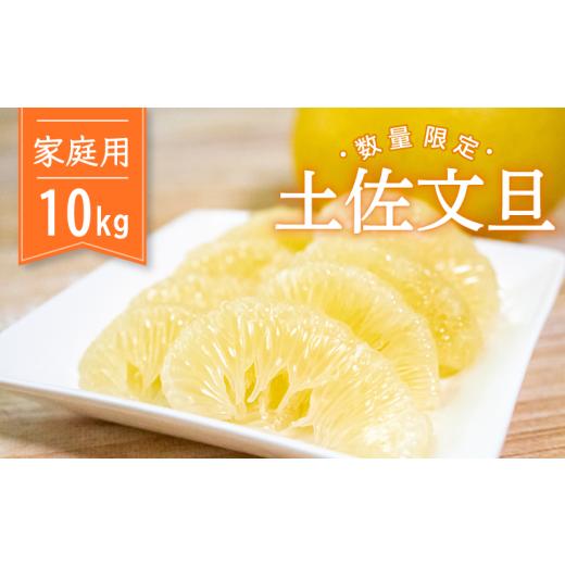 ふるさと納税 みかん・柑橘類 高知県 須崎市 先行予約 土佐文旦 訳あり 10kg 高知県産 柑橘 フルーツ 文旦 ぶんたん ブンタン 分担 果物 みかん 文旦 産地直…