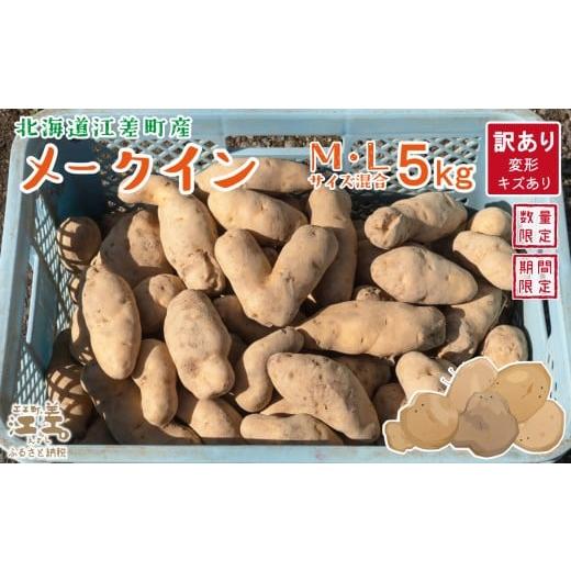 ふるさと納税 野菜類 じゃがいも 北海道 江差町 11月限定出荷 [訳あり]北海道産 メークイン M・L混合 5kg 変形・キズあり しっとりほくほく 甘い 北海…
