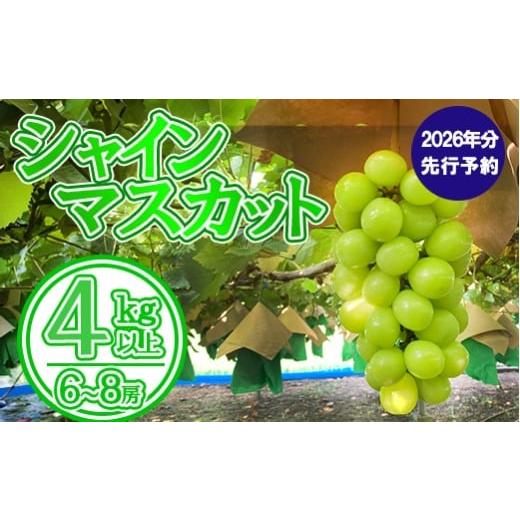 ふるさと納税 ぶどう マスカット 山梨県 富士川町 数量限定 2026年発送分 先行予約 シャインマスカット(4kg以上・6〜9房) シャイン マスカット ぶど…