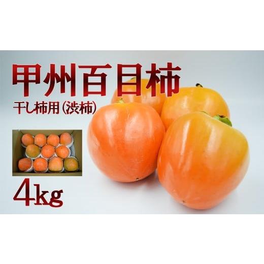 ふるさと納税 果物類 柿 山梨県 富士川町 山梨県産 甲州百目柿(干し柿用渋柿)4kg 生柿 渋柿 山梨 甲州 百目柿 山梨 やまなし 富士川町