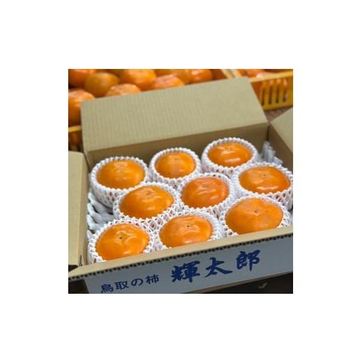 ふるさと納税 果物類 柿 鳥取県 八頭町 2026年発送 輝太郎(秀品)3kg