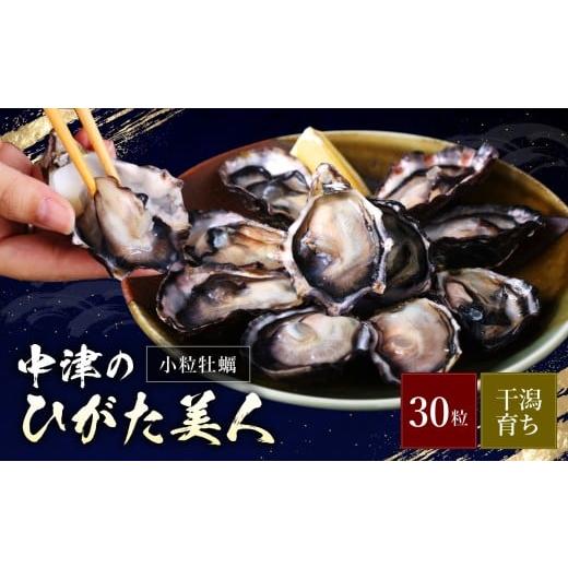 ふるさと納税 牡蠣 生牡蠣 大分県 中津市 期間限定 ひがた美人 (牡蠣 30粒) 堪能セット | 養殖 冷蔵 かき オイスター 酒の肴 つまみ おかず 大分県産 九州産 …