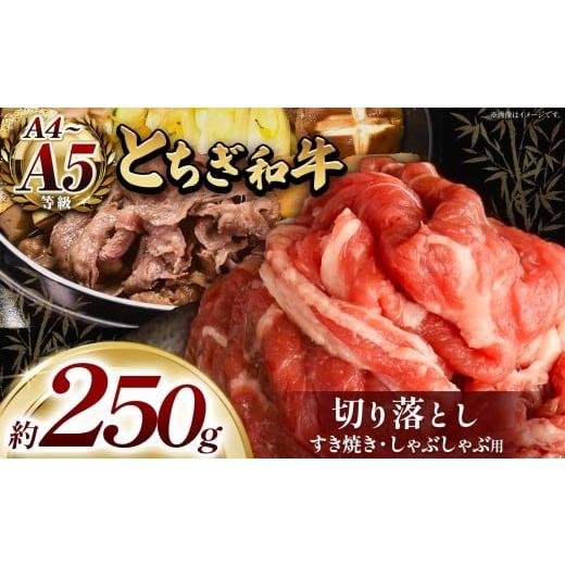 ふるさと納税 牛肉 すき焼き 栃木県 真岡市 とちぎ和牛 すき焼き・しゃぶしゃぶ用 切り落とし 250g | 栃木県共通返礼品 ご褒美 プレゼント 贈答 おいしい 和牛…