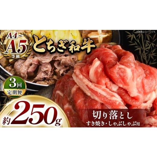 ふるさと納税 牛肉 すき焼き 栃木県 真岡市 定期便3回 とちぎ和牛 すき焼き・しゃぶしゃぶ用 切り落とし 250g | 栃木県共通返礼品 ご褒美 プレゼント 贈答 お…